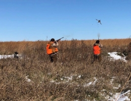 Iowa Youth Pheasant Hunt